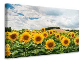 5-piece-canvas-print-landscape-with-sunflowers
