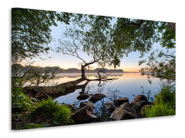 4-piece-canvas-print-landscape