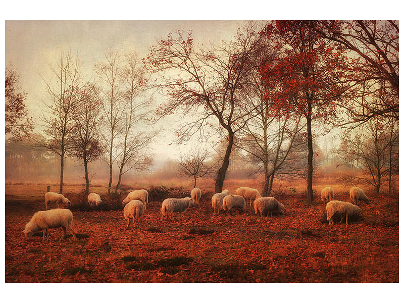 4-piece-canvas-print-last-days-of-autumn