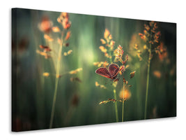 panoramic-canvas-print-last-light