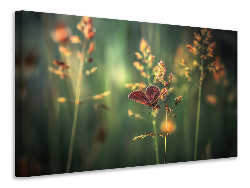modern-3-piece-canvas-print-last-light
