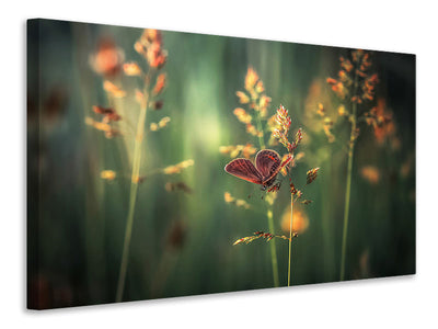 4-piece-canvas-print-last-light