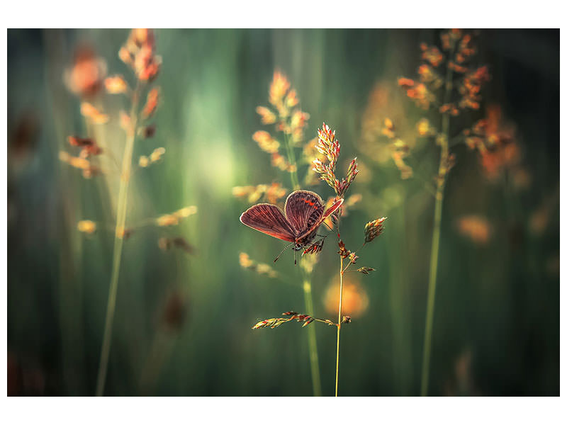 3-piece-canvas-print-last-light
