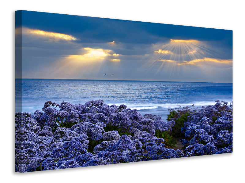panoramic-3-piece-canvas-print-lavender-and-sea