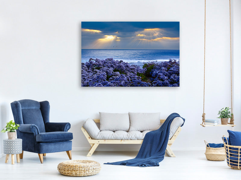 panoramic-3-piece-canvas-print-lavender-and-sea