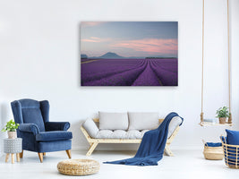 panoramic-3-piece-canvas-print-lavender-field