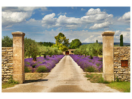 modern-4-piece-canvas-print-lavender-garden