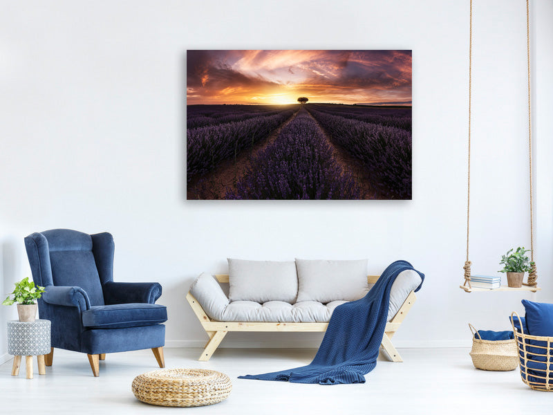 modern-4-piece-canvas-print-lavender-sunset