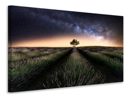 panoramic-canvas-print-lavender-way