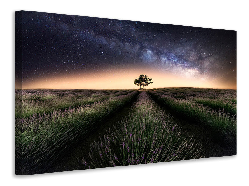 modern-4-piece-canvas-print-lavender-way