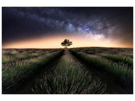 panoramic-canvas-print-lavender-way