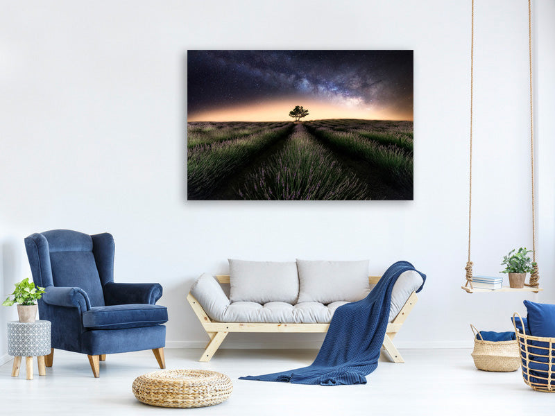 modern-3-piece-canvas-print-lavender-way