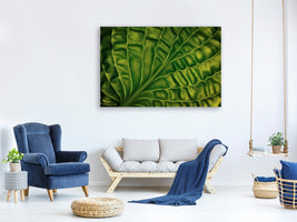 modern-4-piece-canvas-print-leaf-of-a-hosta