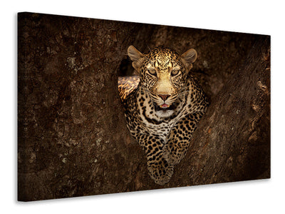 4-piece-canvas-print-leopard-resting-on-a-tree-at-masai-mara