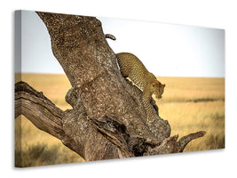 4-piece-canvas-print-leopard-serengheti-tanzania