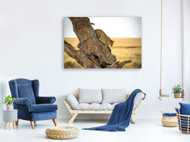 4-piece-canvas-print-leopard-serengheti-tanzania