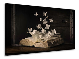 panoramic-3-piece-canvas-print-lepidopterology