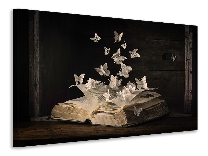 modern-4-piece-canvas-print-lepidopterology