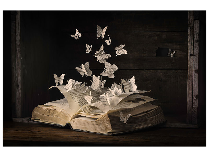 panoramic-3-piece-canvas-print-lepidopterology