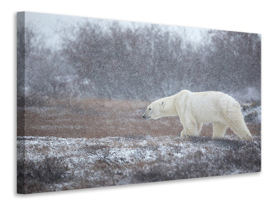 panoramic-canvas-print-let-it-snow-a