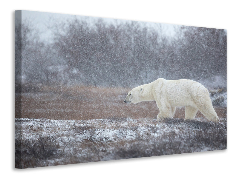 5-piece-canvas-print-let-it-snow-a