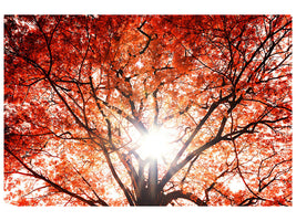 modern-4-piece-canvas-print-light-of-autumn