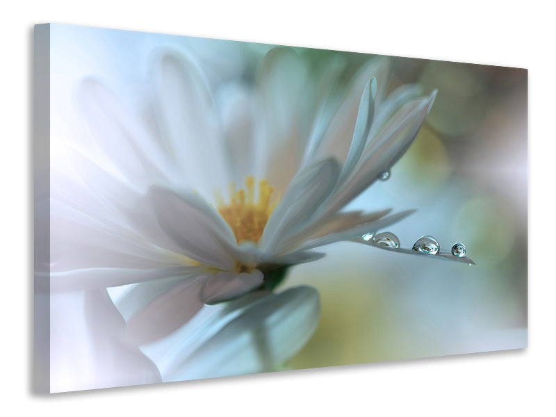 5-piece-canvas-print-light-touch