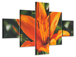 3-piece-canvas-print-lilies-blossom-in-orange-xl