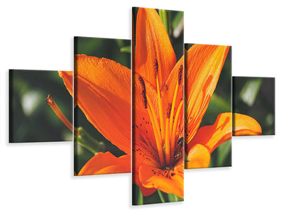 3-piece-canvas-print-lilies-blossom-in-orange-xl
