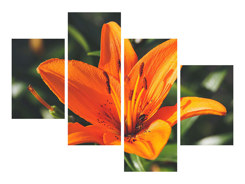 4-piece-canvas-print-lilies-blossom-in-orange-xl