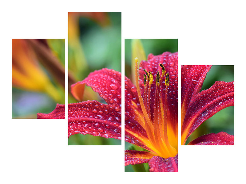canvas-print-lily-flower-in-pink-xl
