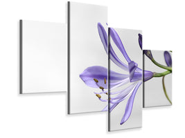 canvas-print-lily-flower-in-purple