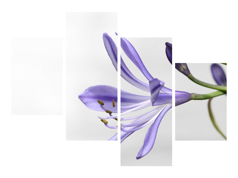 5-piece-canvas-print-lily-flower-in-purple