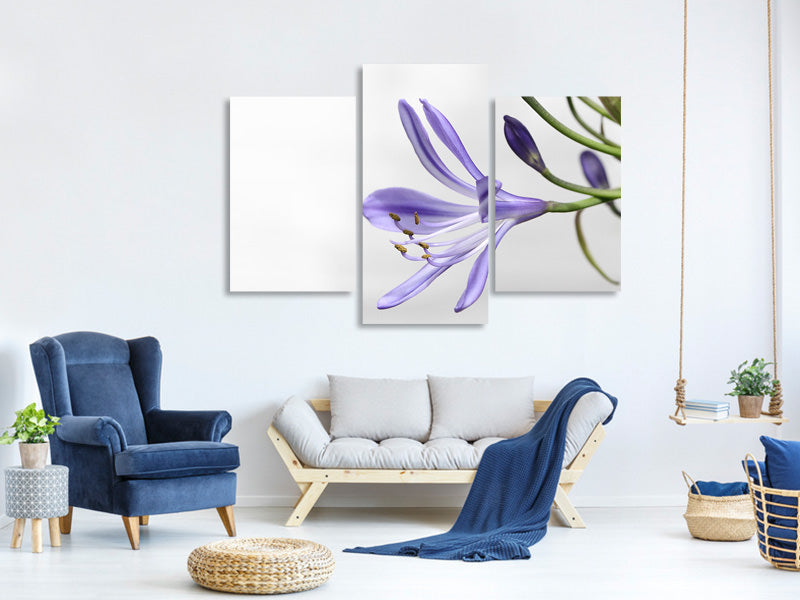 3-piece-canvas-print-lily-flower-in-purple