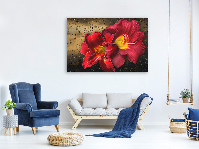 modern-3-piece-canvas-print-lily-flowers-with-water-drops