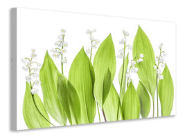 modern-3-piece-canvas-print-lily-of-the-valley