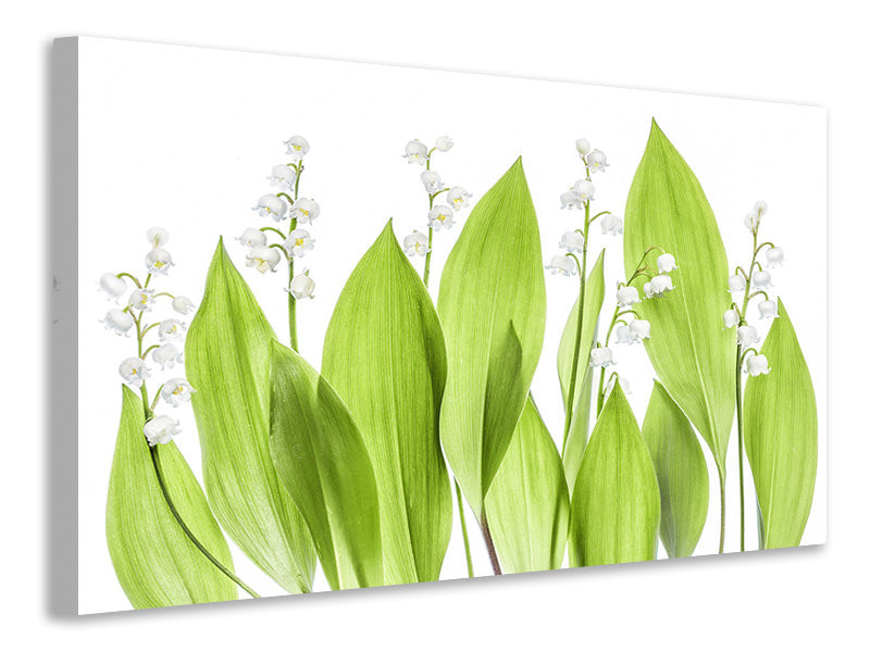 4-piece-canvas-print-lily-of-the-valley