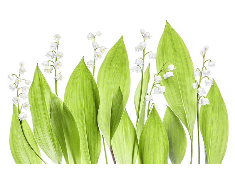 modern-3-piece-canvas-print-lily-of-the-valley