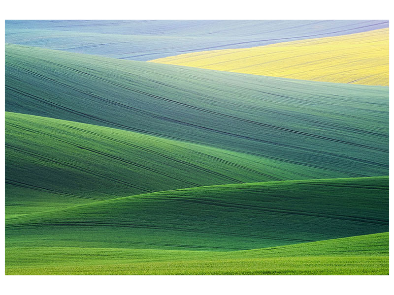 4-piece-canvas-print-lines