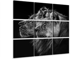 canvas-print-lion-and-lioness-portrait