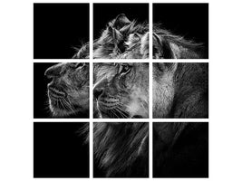 4-piece-canvas-print-lion-and-lioness-portrait