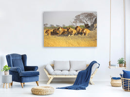 panoramic-3-piece-canvas-print-lion-family