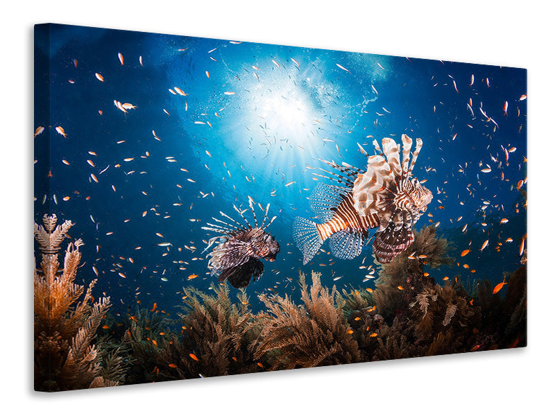 panoramic-3-piece-canvas-print-lionfish-ii