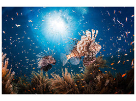 modern-4-piece-canvas-print-lionfish-ii