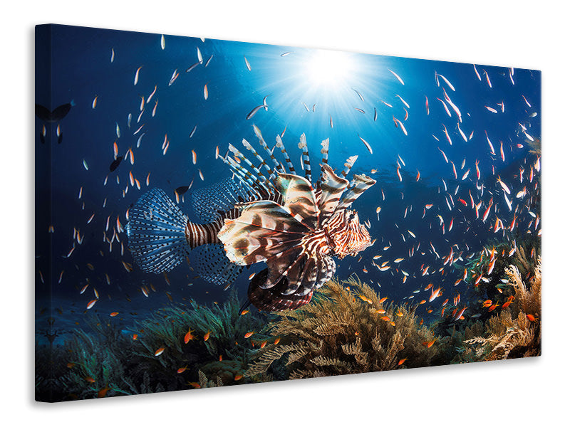 5-piece-canvas-print-lionfish