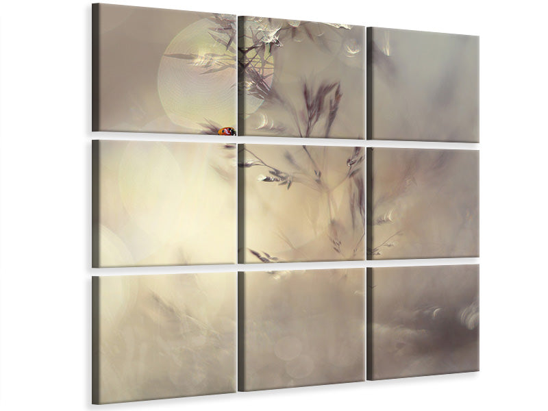4-piece-canvas-print-little-lady