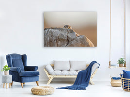 4-piece-canvas-print-little-owl