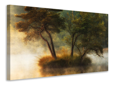 4-piece-canvas-print-lonely-island