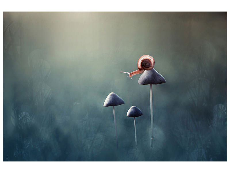 panoramic-canvas-print-lonely