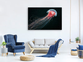 5-piece-canvas-print-longtail